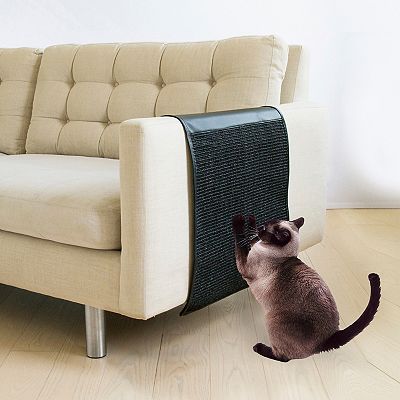 How to keep cat from scratching leather furniture best sale