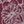 Burgundy Malvern