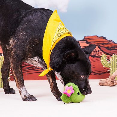 BARK Consuela The Cactus Plush Dog Toy