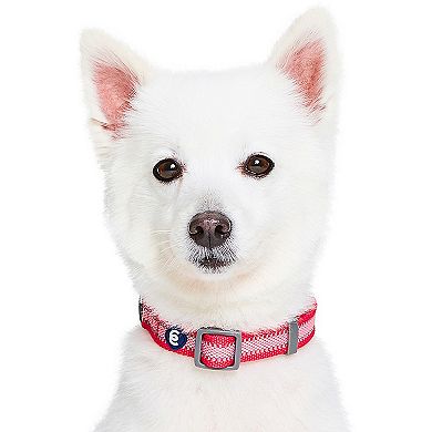 Blueberry Pet Blue Dog Collar