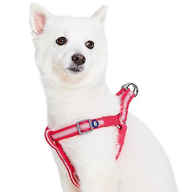 Blueberry Pet Blue Dog Harness