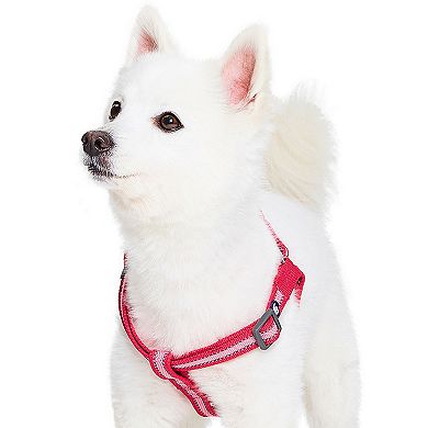 Blueberry Pet Blue Dog Harness