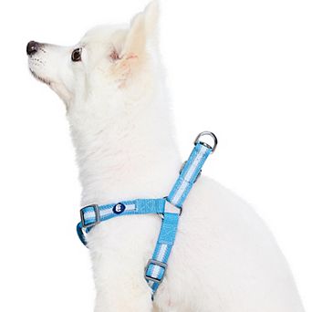 Blueberry Pet Dog Harness