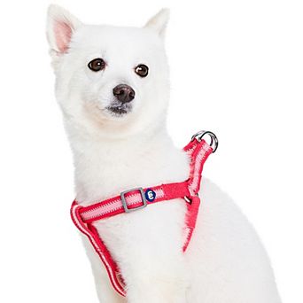 Blueberry Pet Dog Harness