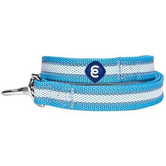 Blueberry Pet Dog Leash