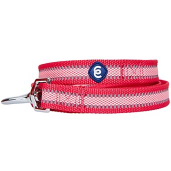 Blueberry Pet Dog Leash