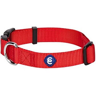 Blueberry Pet Classic Dog Collar