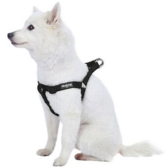 Blueberry Pet Classic Dog Harness