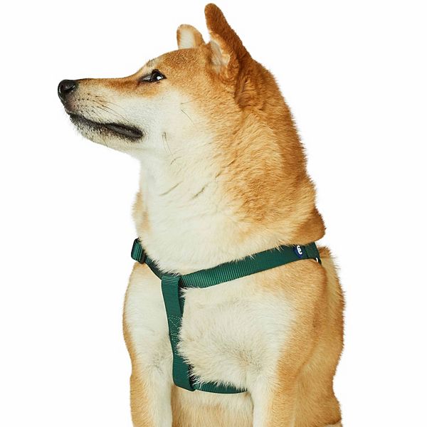 Blueberry Pet Classic Dog Harness