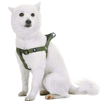 Blueberry Pet Classic Dog Harness