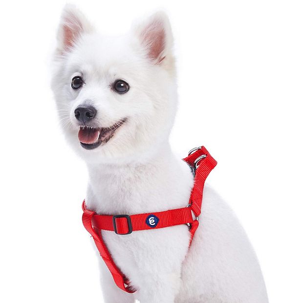 Blueberry pet clearance harness