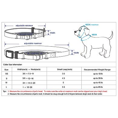Blueberry Pet Safety Training Dog Collar