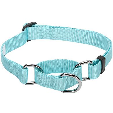 Blueberry Pet Safety Training Dog Collar