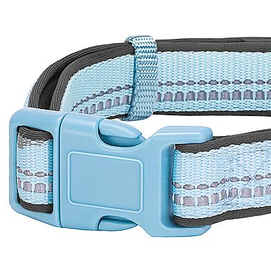 Blueberry Pet Soft & Comfy Padded Dog Collar