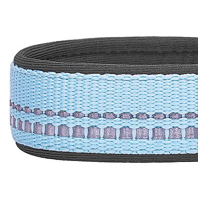 Blueberry Pet Soft & Comfy Padded Dog Collar