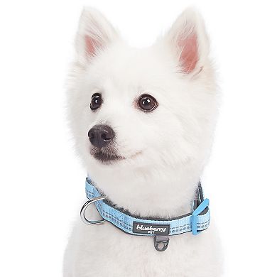 Blueberry Pet Soft & Comfy Padded Dog Collar