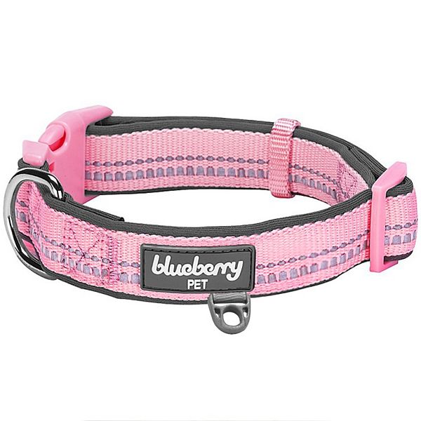 Blueberry Pet Soft & Comfy Padded Dog Collar