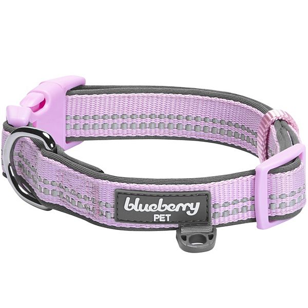 Blueberry Pet Soft & Comfy Padded Dog Collar