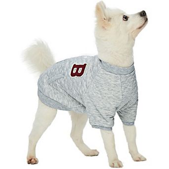Blueberry Pet Baseball Style Dog Sweatshirt