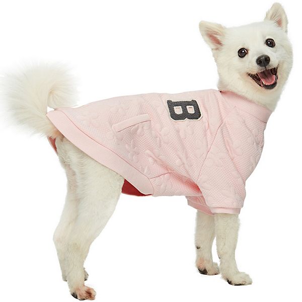 Kohls 2024 dog sweater