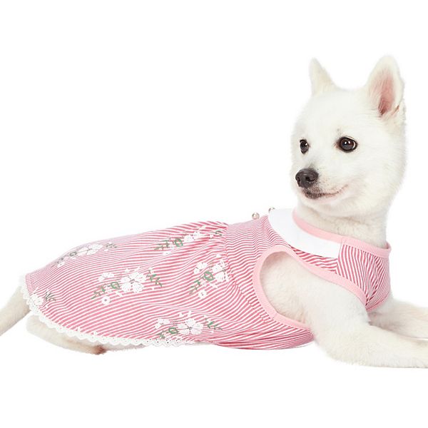 Blueberry dog hot sale clothes