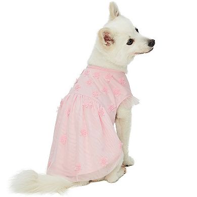 Blueberry Pet My Little Princess Flower Tulle Dog Dress