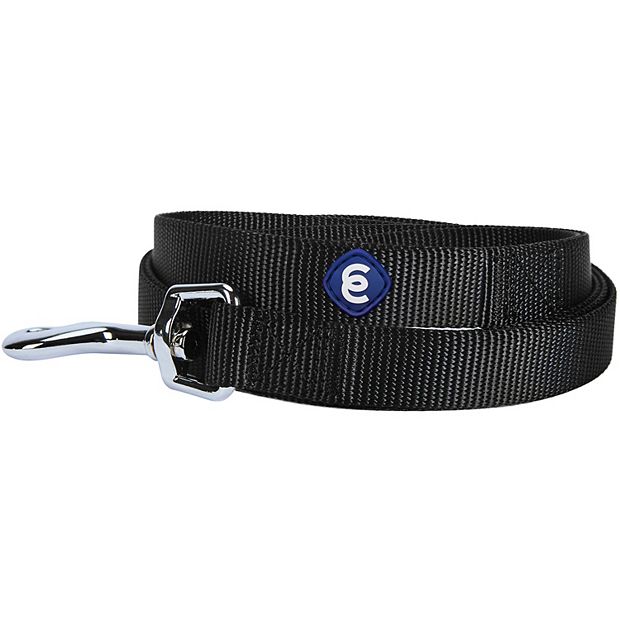 Blueberry dog outlet leash