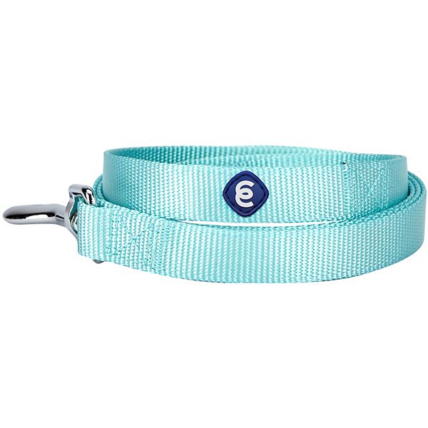 Blueberry Pet Classic Dog Leash - Mint Blue (LARGE)