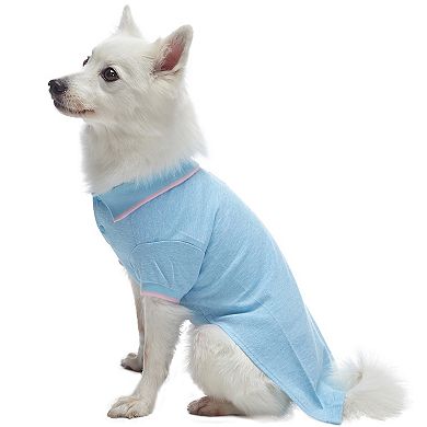 Blueberry Pet Back to Basic Dog Polos 2-Pack