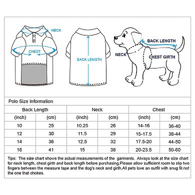 Blueberry Pet Back to Basic Dog Polos 2-Pack
