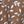 Allspice Floral Leaf