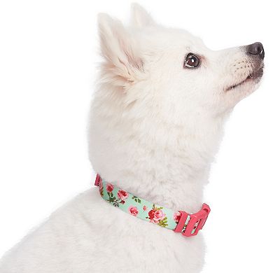 Blueberry Pet Floral Rose Dog Collar