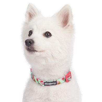 Blueberry Pet Floral Rose Dog Collar