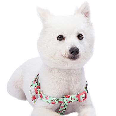 Blueberry Pet Floral Rose Dog Harness