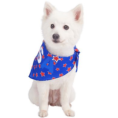 Blueberry Pet American Flag Dog Bandana