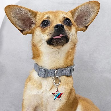 Blueberry Pet Flower & Star Pet Accessory 2-Pack