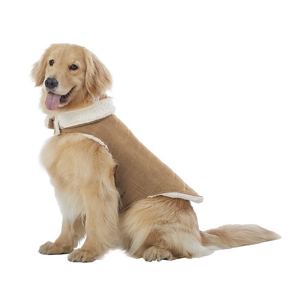 Ugg dog hot sale jacket