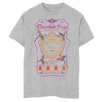 Boys 8-20 Harry Potter Chocolate Frogs Poster Graphic Tee
