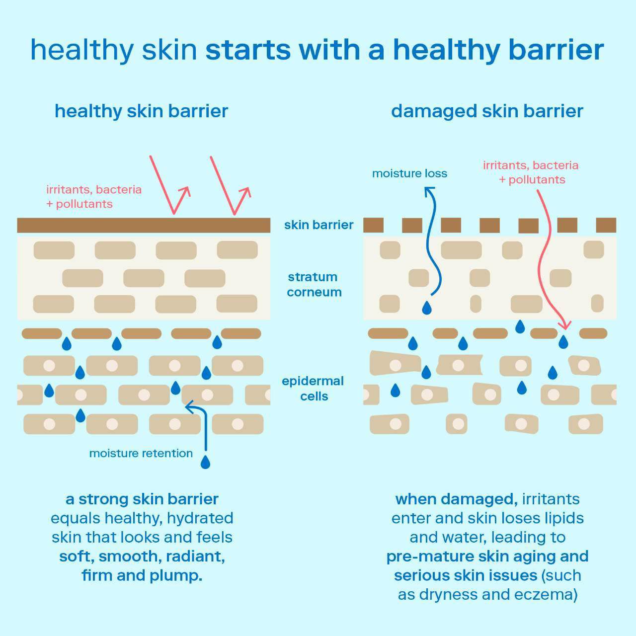 Skinfix Barrier+ Strengthening And Moisturizing Triple Lipid-Peptide ...