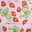 Strawberry Blooms