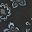 Black Noir Floral