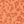 Orange Fairview Floral