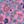 Pink Meadow Floral