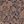 Taupe Clarence