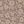 Taupe Solana Floral