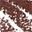 Rich Brown