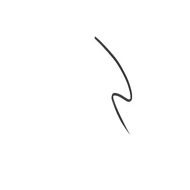 Quick N Easy Precision Liquid Liner