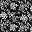 Black Tonal Floral
