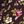 Plum Fall Floral