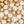 Ivory Gold